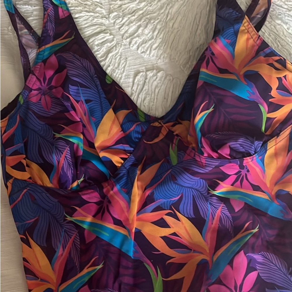 Two bathing suits:  Tan Through One Piece Swimsuits